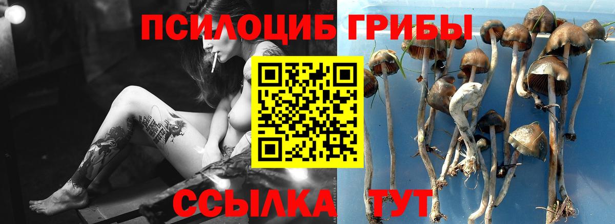 Галлюциногенные грибы мицелий Новоуральск